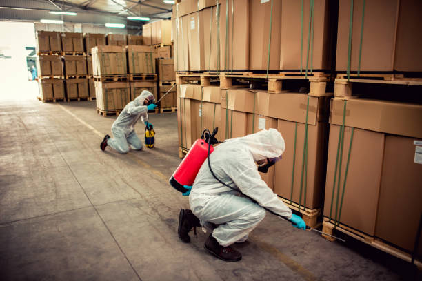 Best Pest Prevention Services  in Keaau, HI