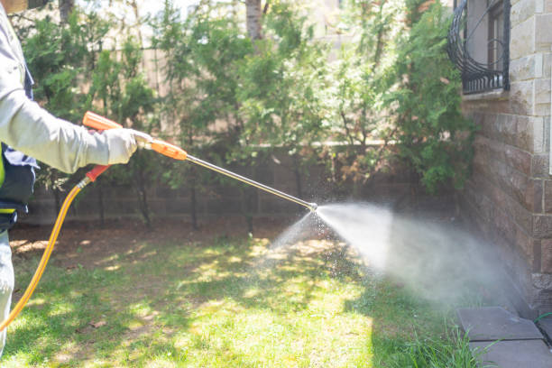 Professional Pest Control in Keaau, HI